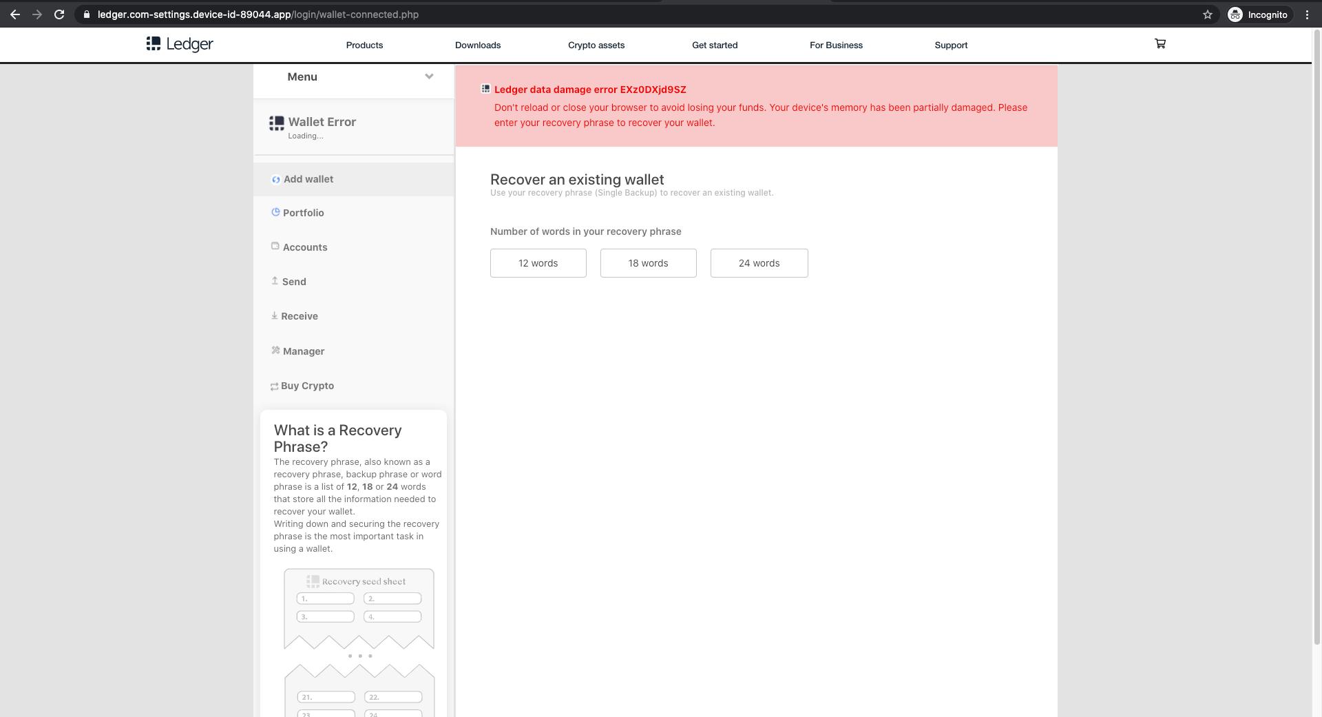 Fake Ledger connection error